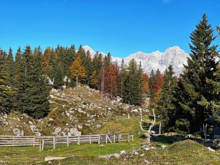 Jesenski dnevi vabijo na Veliko planino (7)